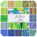 Stoffe Precuts Charm Pack Kaffe Fassett Collective February 2021 cool
