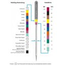 Zwillings-Stretch-Nadel 2,5/75
