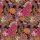 kaffe fassett cloisonne black