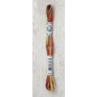 sticken dmc stickgarne mouliné multicolor 4510