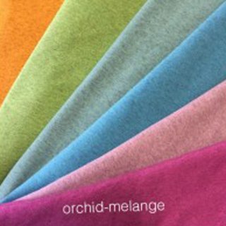 Melange Orchid