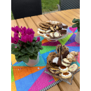 02.08.2025 Nähen im Garten mit Ellen Remijnse