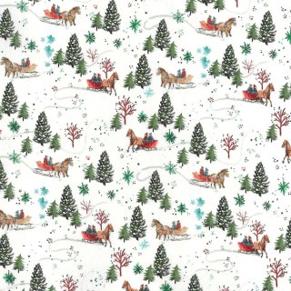 Das Bild zeigt ein Paar im Pferdeschlitten zwischen gruenen Tannenbaeumen im Schnee auf hellem Untergrund.