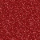 Pferdeschlittenfahrt im Schnee