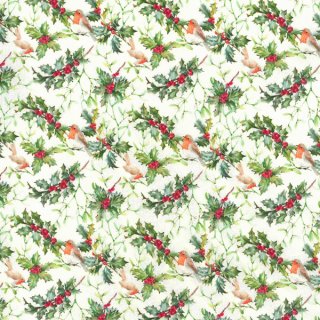 Das Bild zeigt kleine Rotkehlchen zwischen gruenen Ilexblaettern sitzend auf beigefarbenen Untergrund.