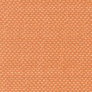 Das Bild zeigt einen...