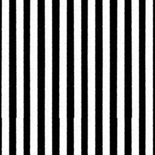 Das Bild zeigt einen weiss schwarz gestreiften Baumwollstoff. in den weissen Streifen sind kleine schwarze Sprickel gedruckt.