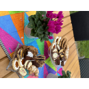 29.08.2026 Nähen im Garten