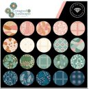 Charm Pack Reimagined Landscapes