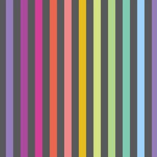 Das Bild zeigt den Baumwollstoff Disco Stripe Carbon von Tula Pink mit schwarzen und regenbogenfarbenen Streifen.